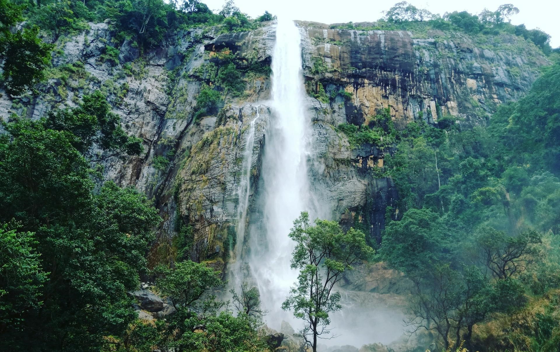 Sri Lanka entdecken: Abenteuer, Safari und UNESCO-Welterbe